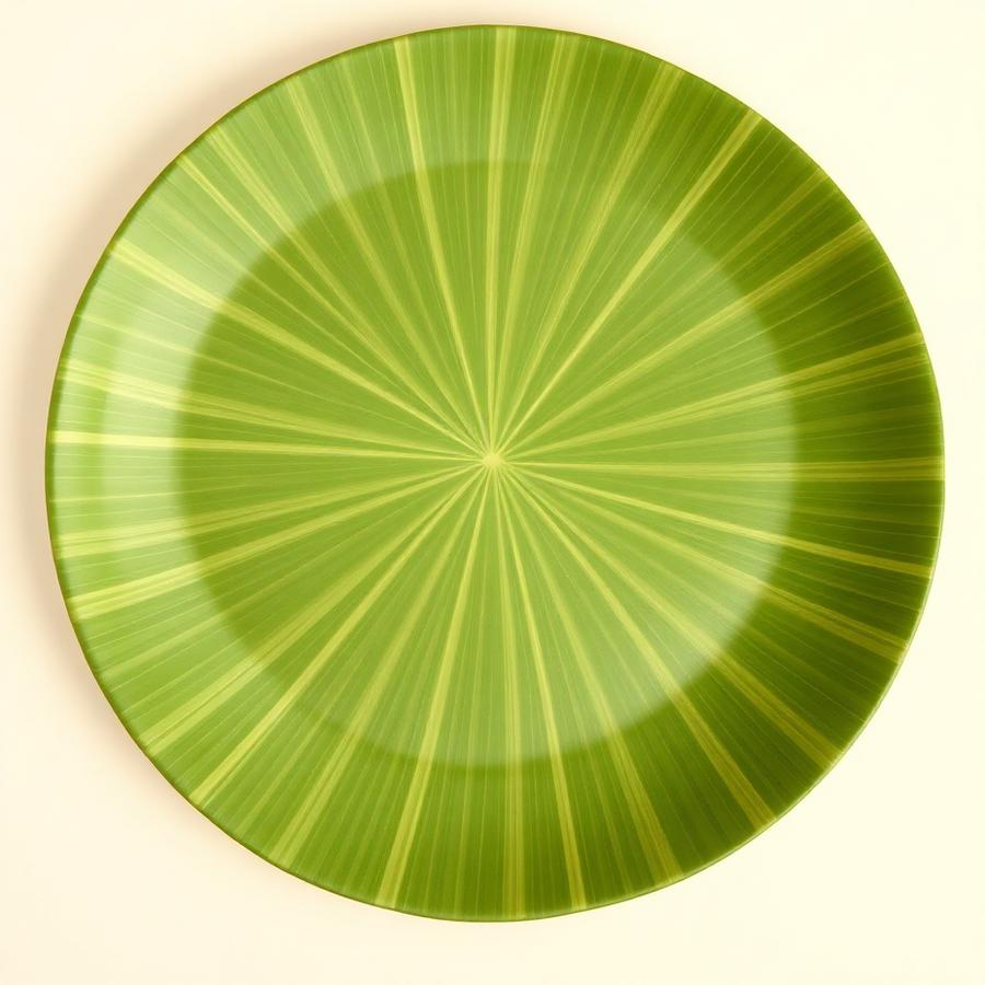 12 Inch Round Areca Plate — natural disposable areca plate