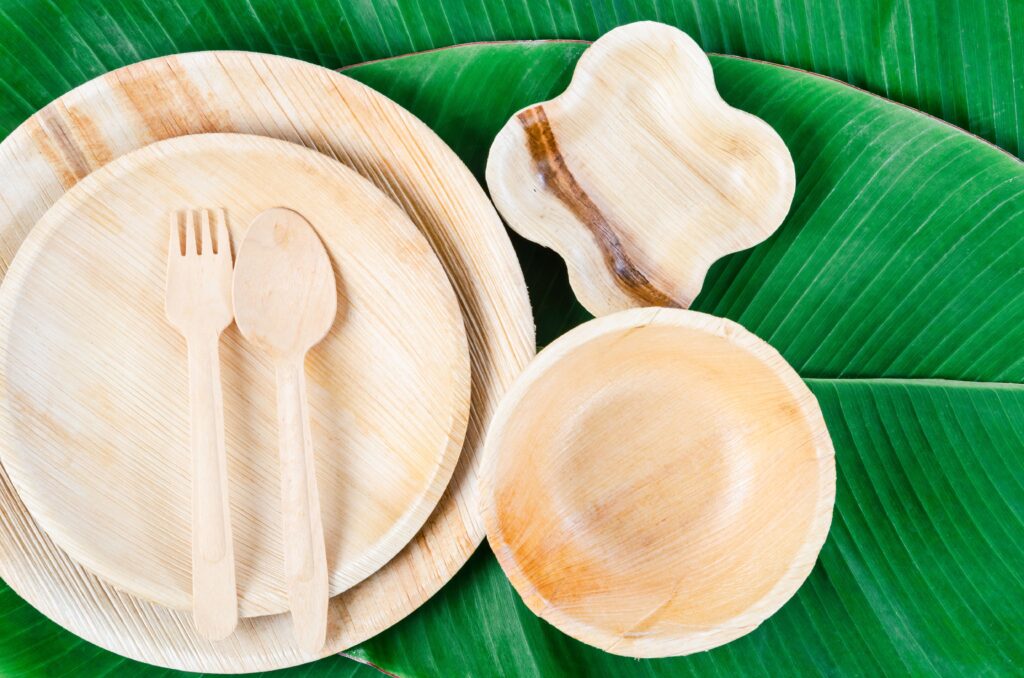 Where to Buy Paaku Mattai Plate in Coimbatore: A Complete Guide for Eco-Friendly Shoppers