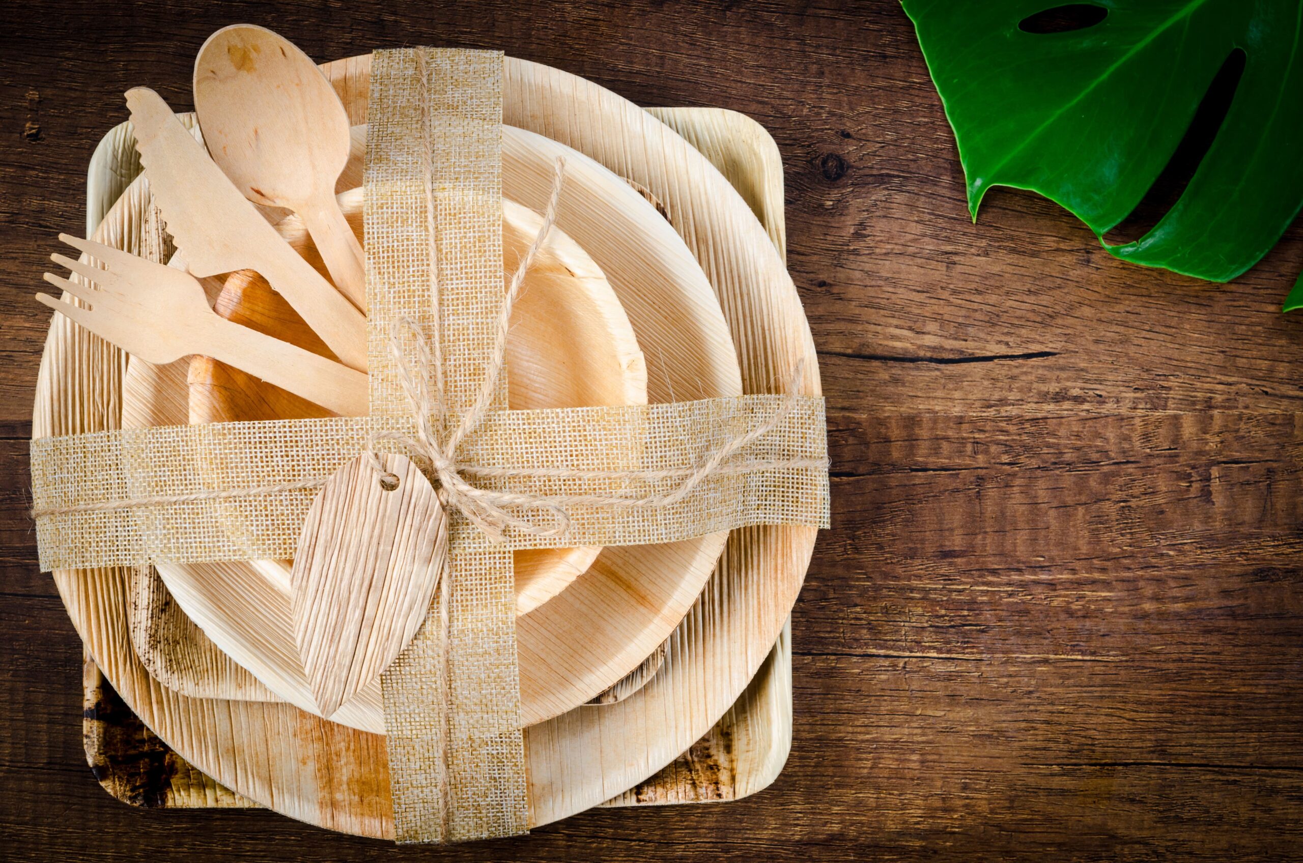 Areca Plates